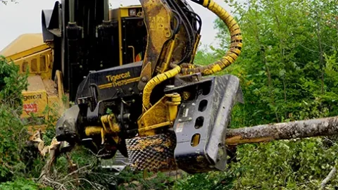 Обзор харвестерных головок от ведущих производителей