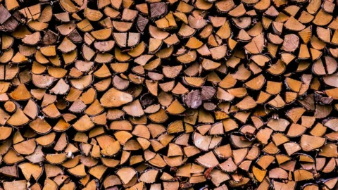 Бизнес на дровах начинается с выбора дровокола