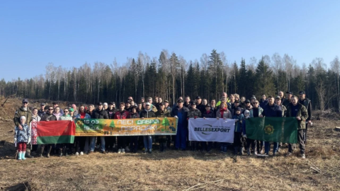 Коллектив НОКА ТЕХ принял участие в акции «Лес! Дабро! Парадак!»