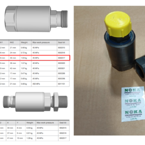 9010002 Поворотная муфта К100 G1 FxM